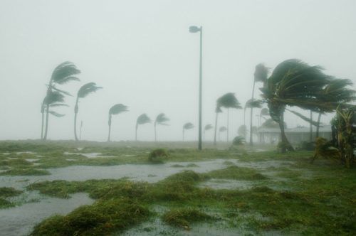 Hurricane Shutter Repair Estero, FL